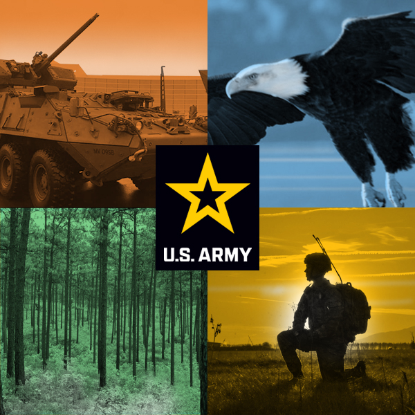 Environmental graphic displaying weapons-eagle-forest-soldier and Army logo